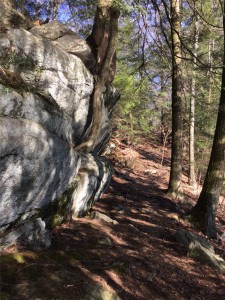 beartown_boulders