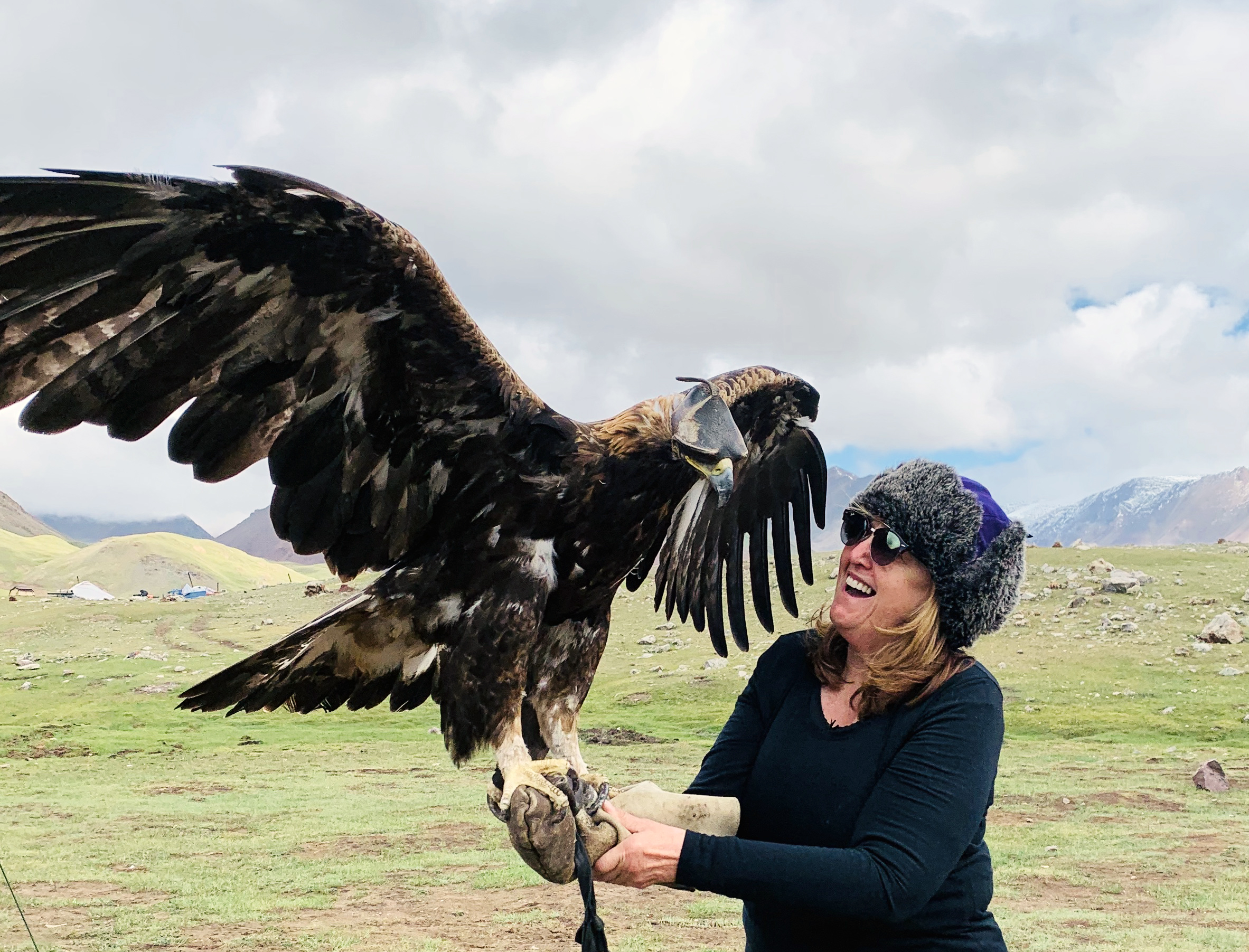 Golden Eagle, Linda, Altai Tavan Bogd National Park